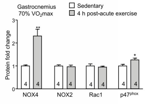 缓解衰老最好灵丹妙药,怎样才能延缓衰老加强细胞更新