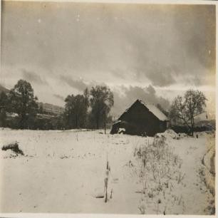 二战女德军士兵照片,老照片二战后悲惨的法国女性