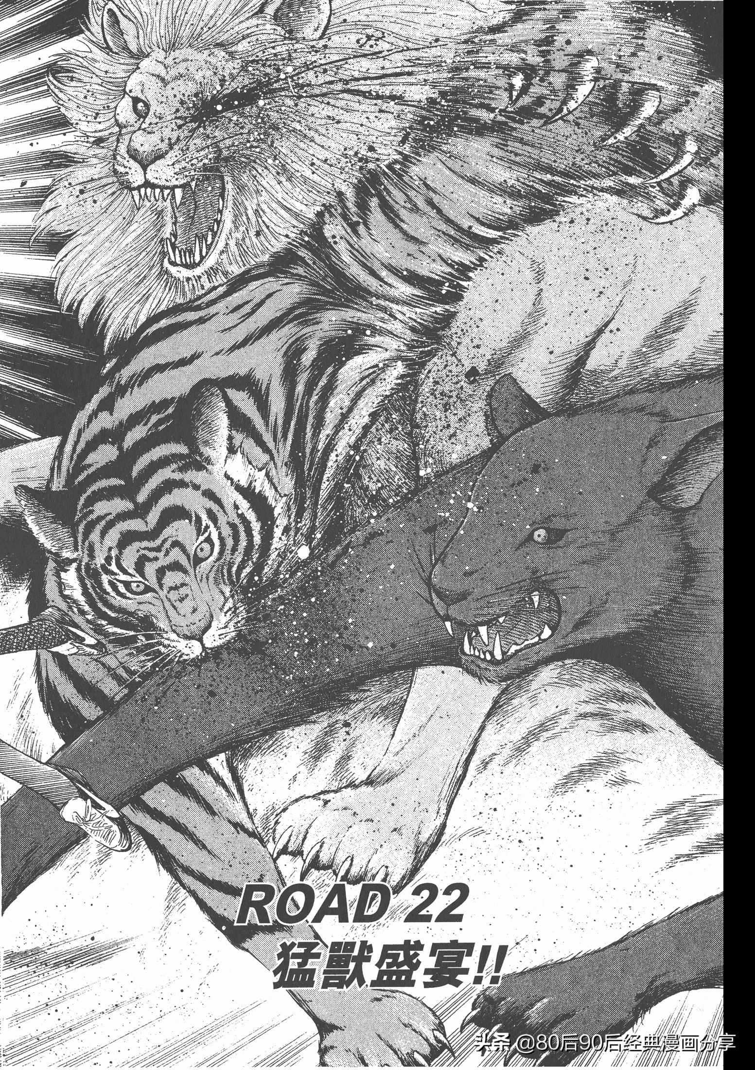 roadto2002,瓒崇悆灏忓皢roadto2002璁茶В