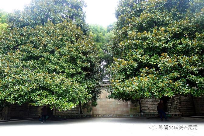 另一个方式看世界,鲁迅公园海边