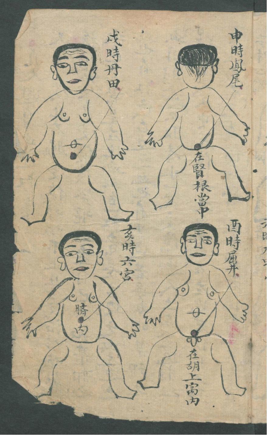 华佗仙师秘传01,华佗仙师秘传全集