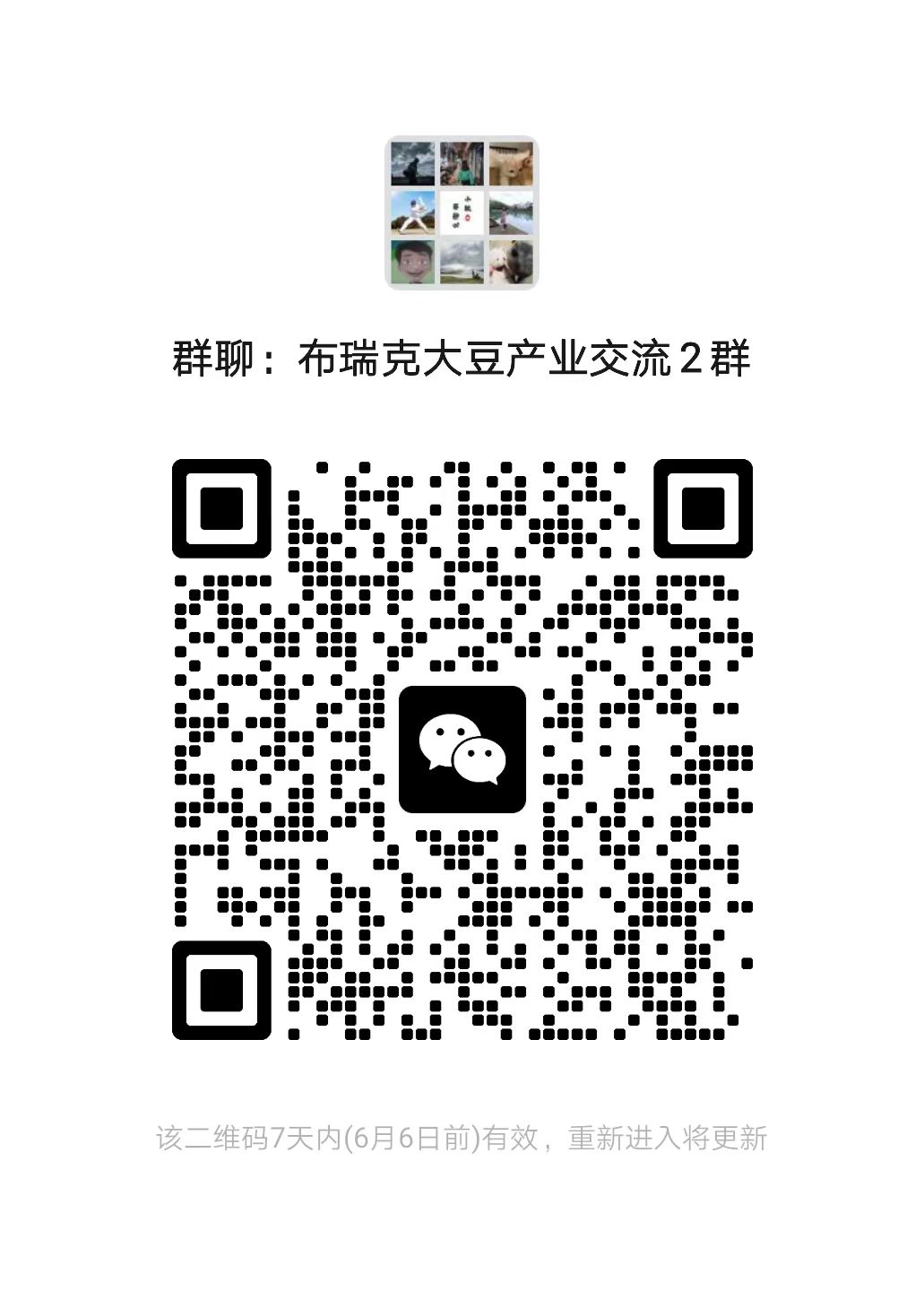 豆类期货最新行情,大豆粮价快报