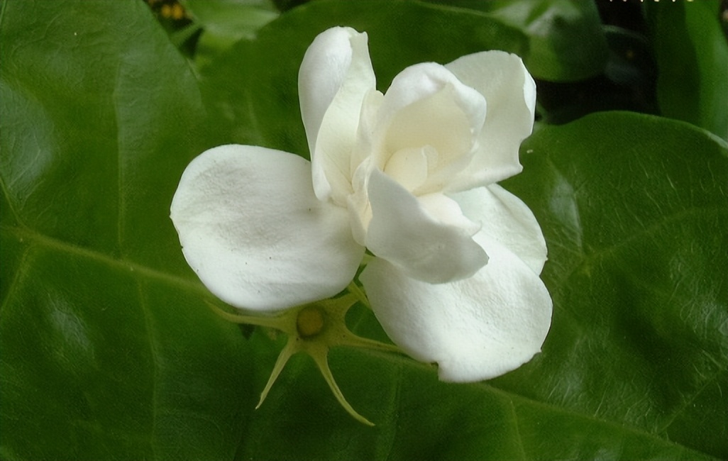 一个女人“借”了这些东西,彼此“缘分”也就尽了,早就实锤了