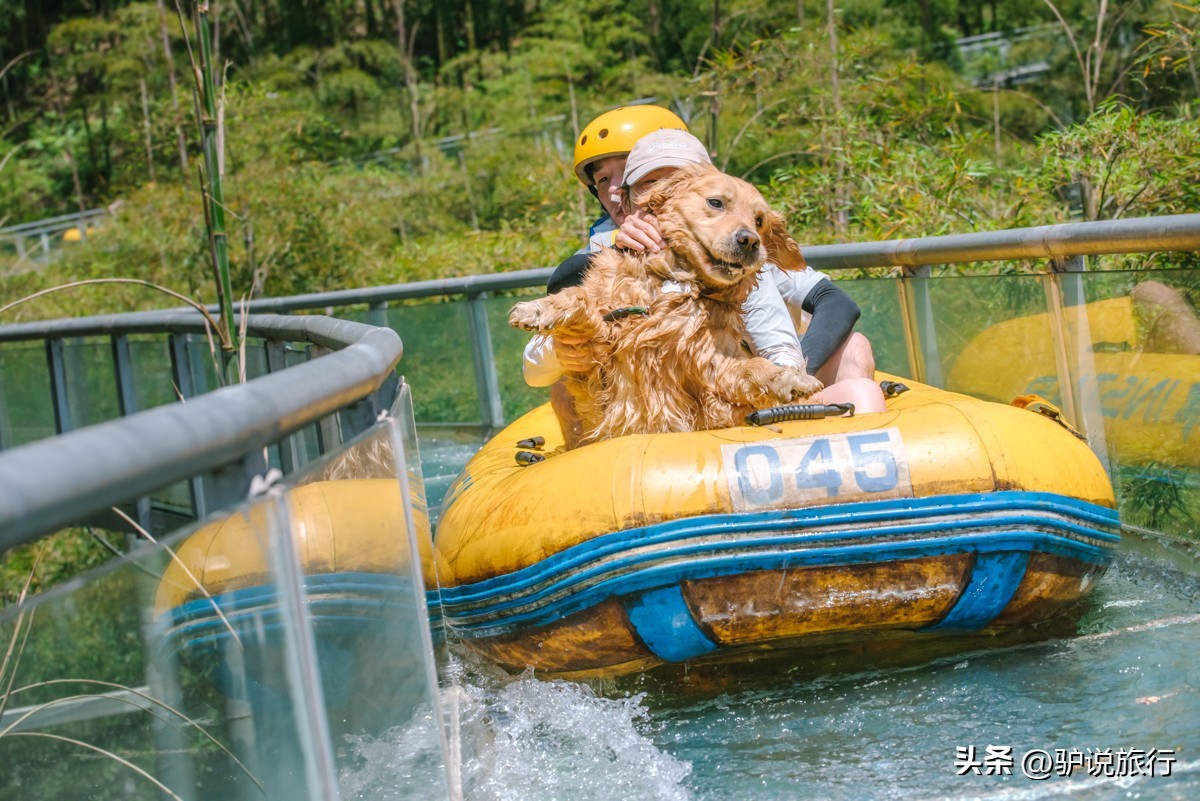 安吉宝藏酒店,安吉绿地铂骊酒店滑雪