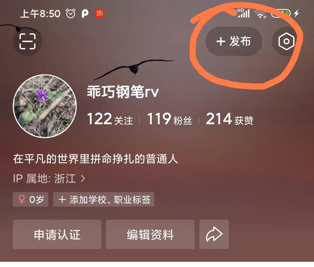 新手小白头条创作11天,新手小白头条阅读量