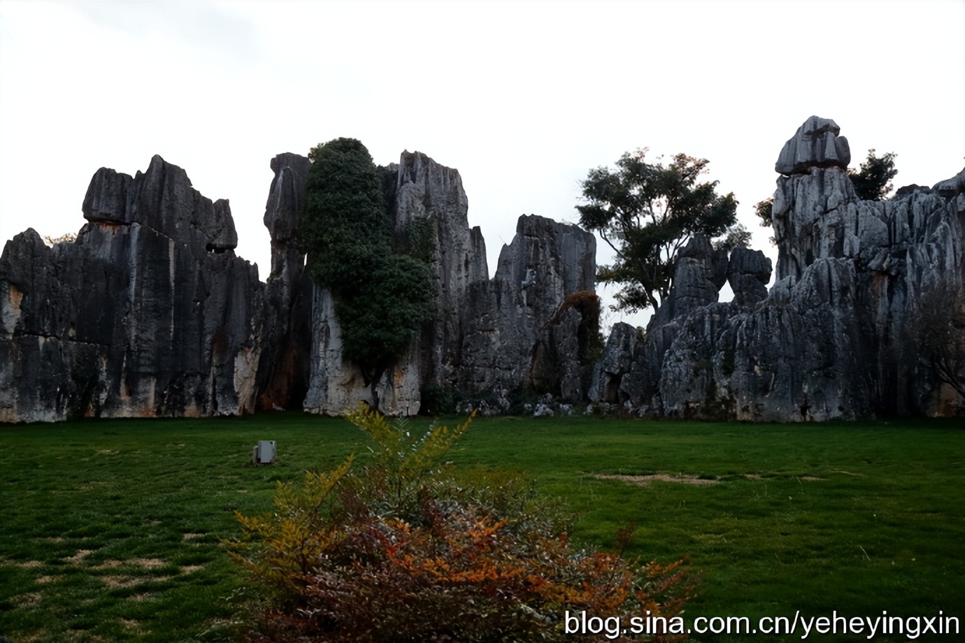 世界地质公园云南石林风景区,昆明石林国家地质公园