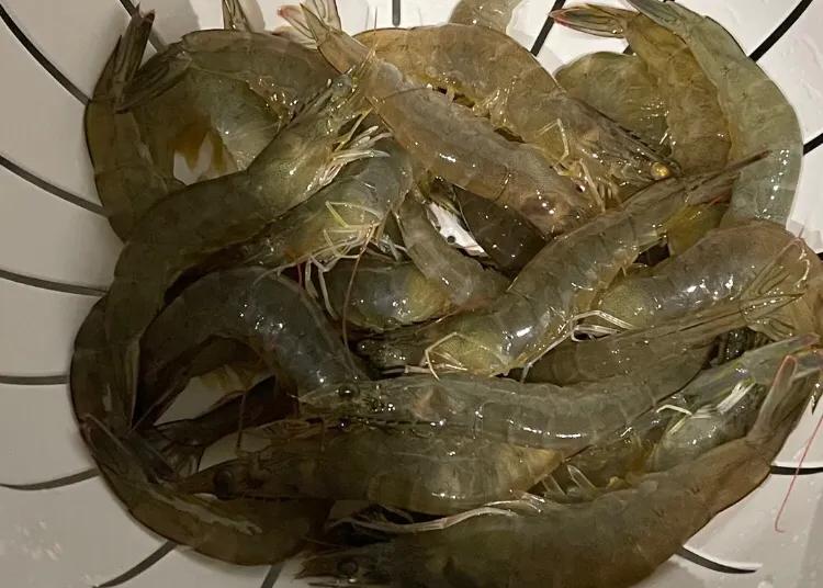 老年人别太节俭多补充这几种食物,老年人真的需要高蛋白食品吗