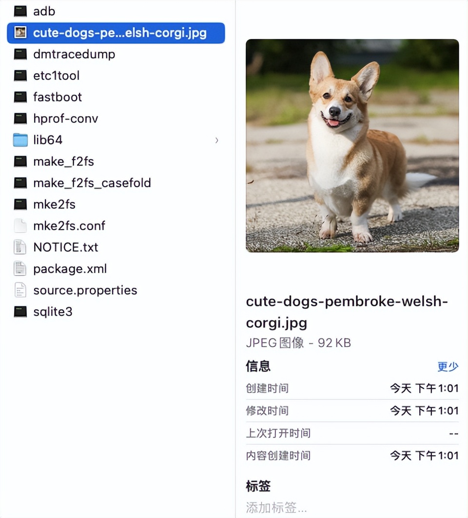 被root可以恢复吗,被root的设备有什么区别