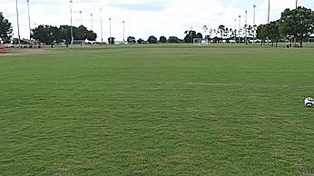 初学者必备十大技能有哪些,初学者必学的10个基础知识