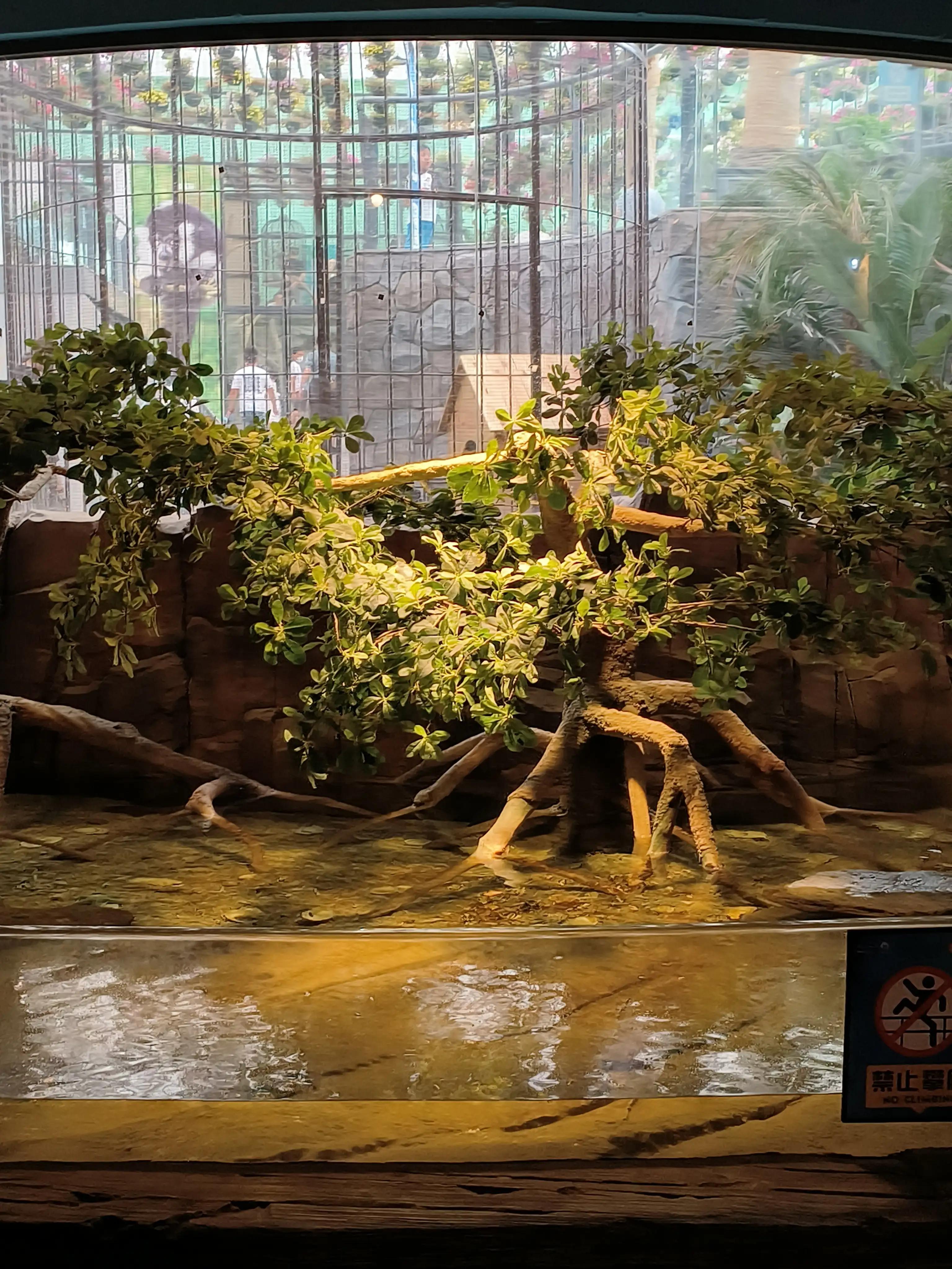 推荐:14所名校理念文化名片