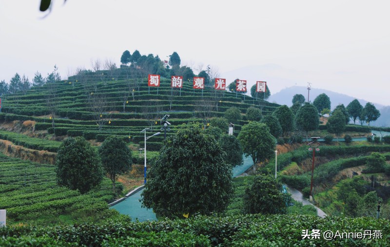 四川万源市旅游攻略,四川达州周边旅游攻略景点必去