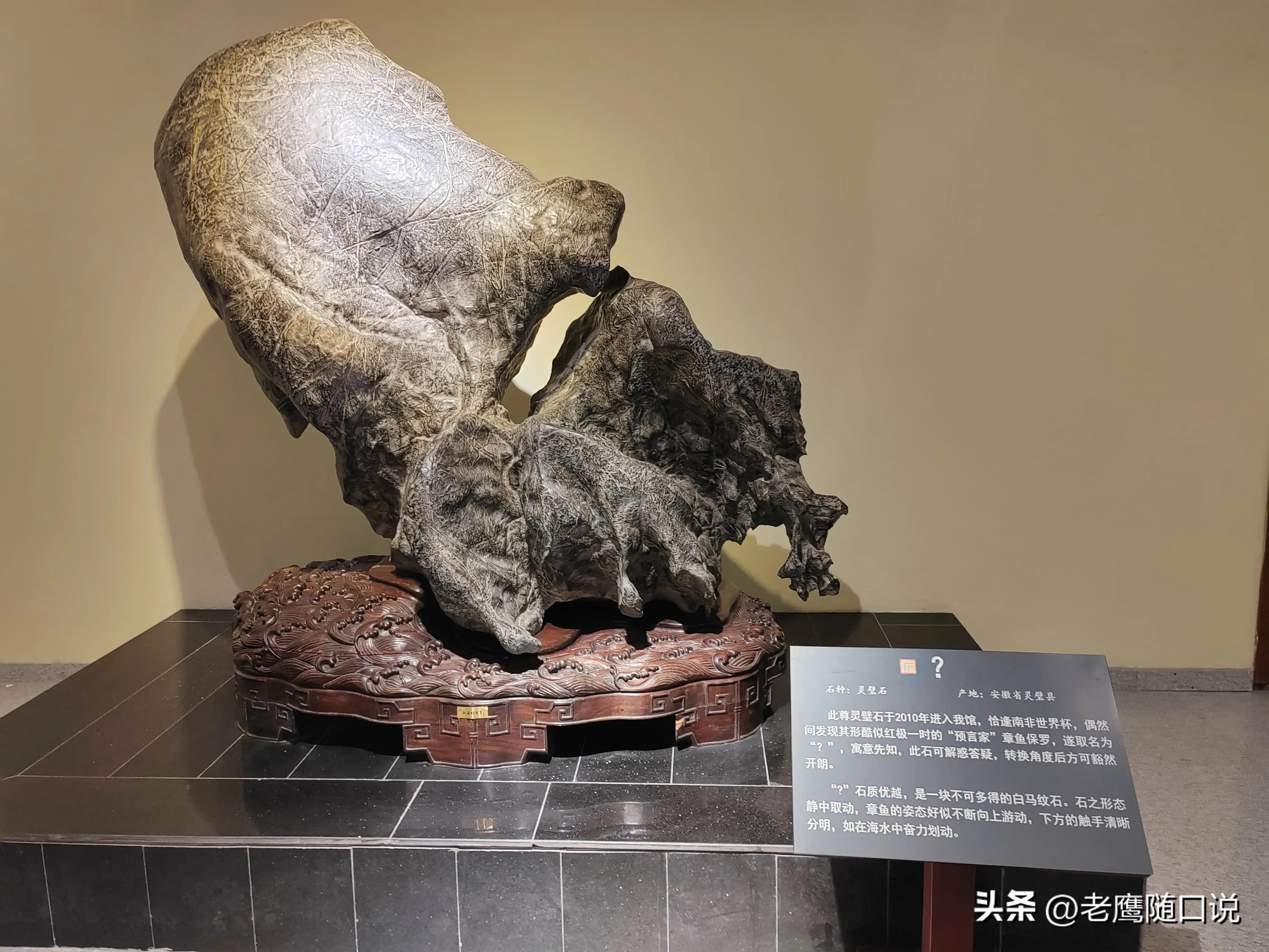 参观青岛博物馆,参观青岛葡萄酒博物馆感受