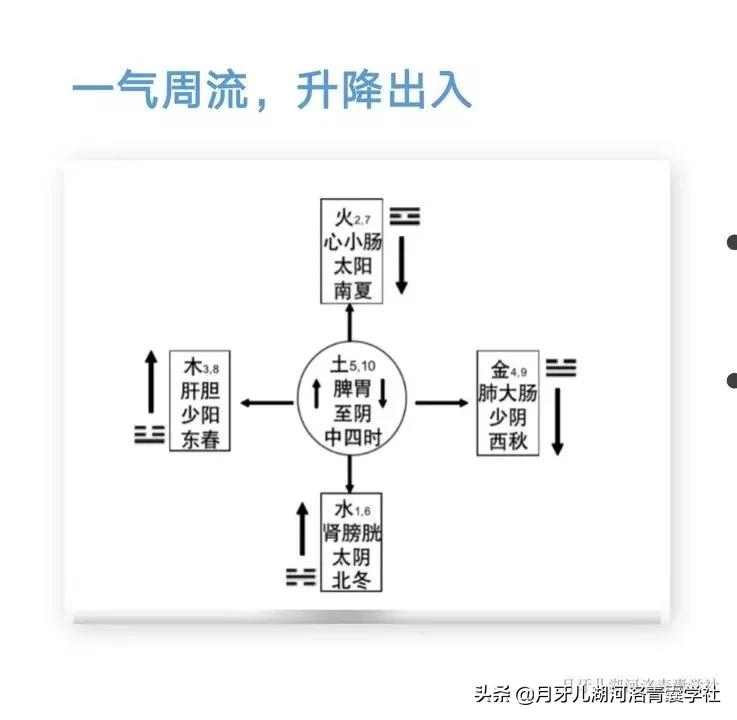 黄元御四圣心源之八,黄元御四圣心源讲的是什么