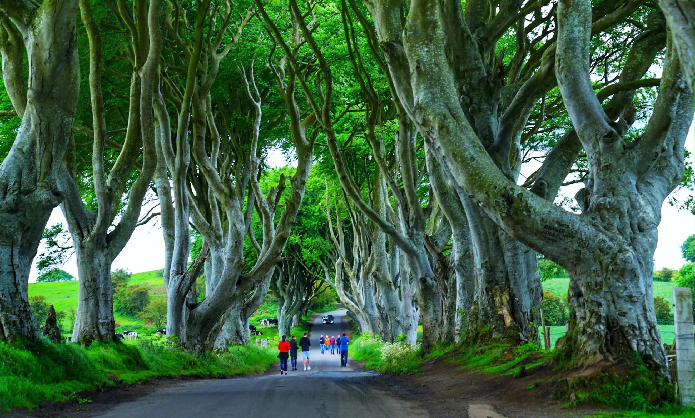 英伦三岛贝尔法斯特,体验权力的游戏