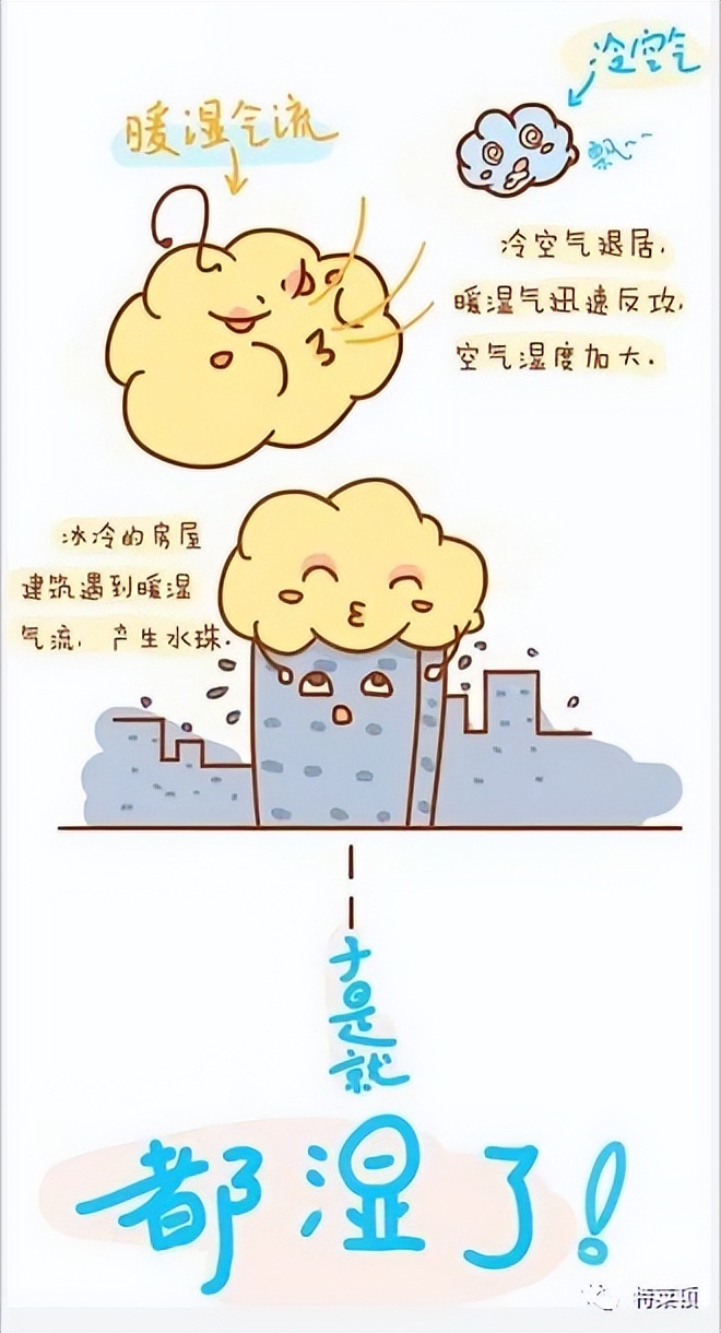 回南天和梅雨季哪个难受,回南天与梅雨天区别