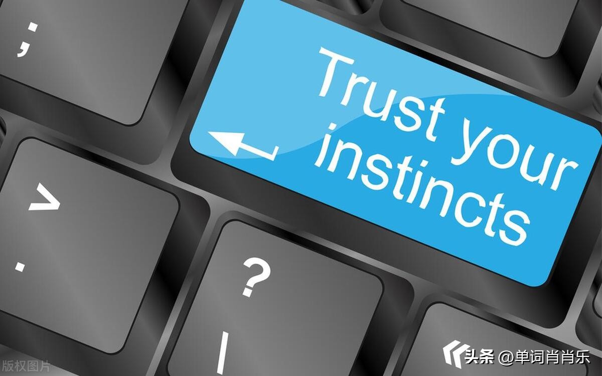 有言有味说单词,有言有味说单词视频