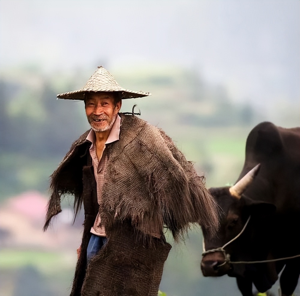 三甲指的是什么样的,三甲富贵指的是什么