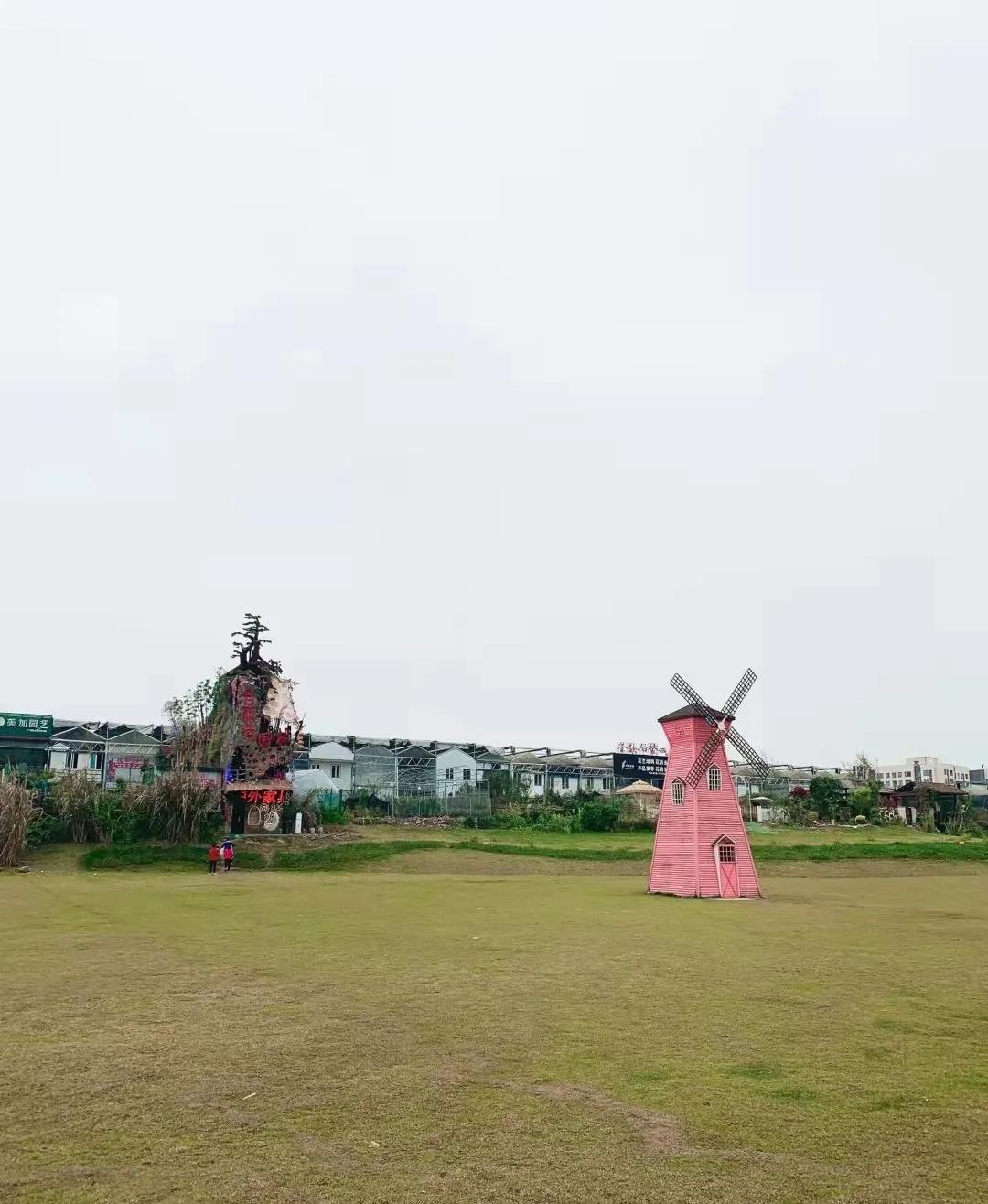 重庆最大的鲜花批发商,重庆花卉园鲜花市场