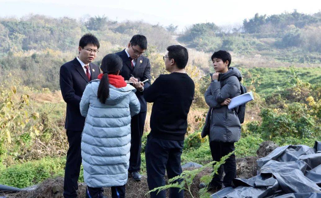 野生动物保护公益诉讼典型案例,检察院助力生态环境保护公益诉讼