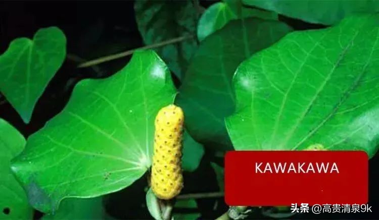 4月1恢复直航，马云刚去过的宝藏免签海岛藏不住了！