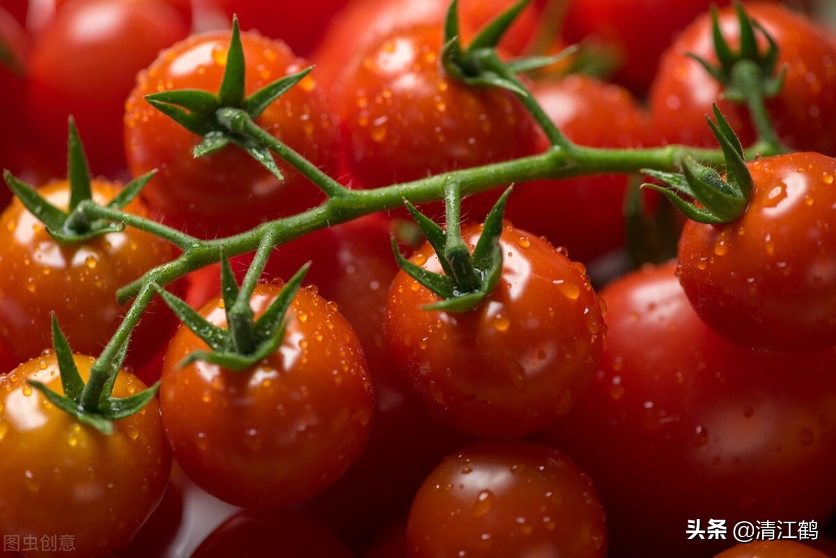 作物种植重茬怎么办,农田重茬怎样防治