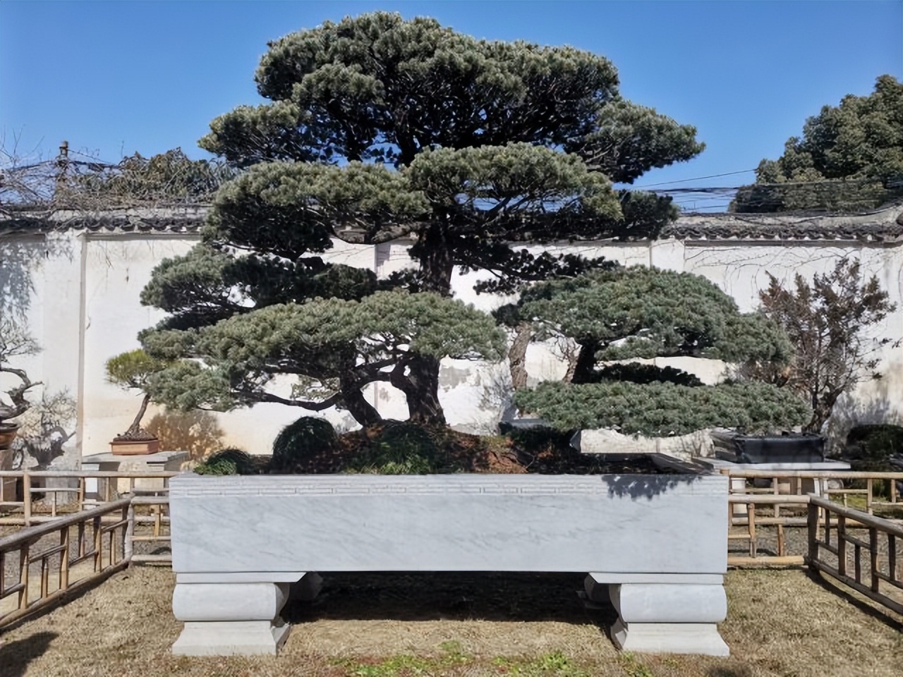 苏州旅游景点大全一日游最佳路线,苏州旅游攻略一日游最佳线路图