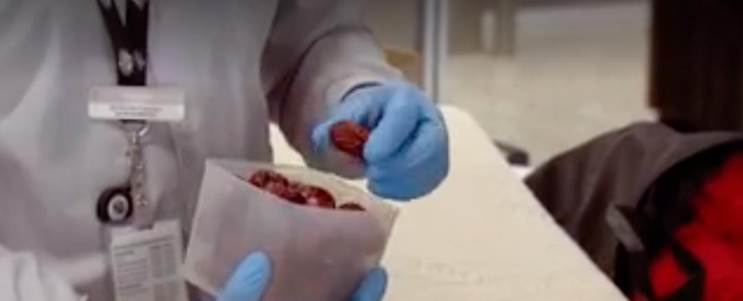 中国留学生携带小米、牛肉干等过关澳洲，遭罚数百刀