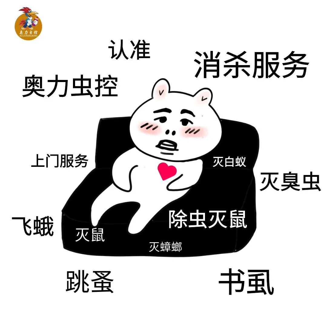 白蚁该怎么处理,家里出现了白蚁有效的解决方法