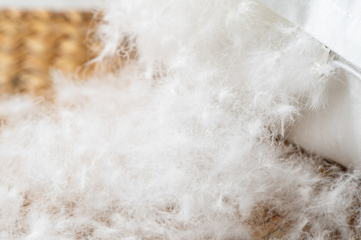 冬天羽绒服如何挑选保暖,冬天怎么挑到一件保暖的羽绒服