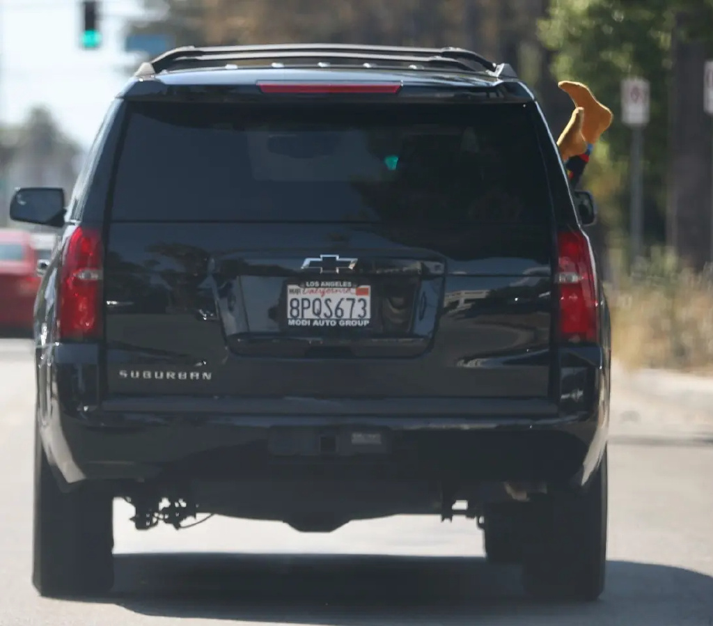 美国女星走秀衣着暴露引成争议,好莱坞女明星街头