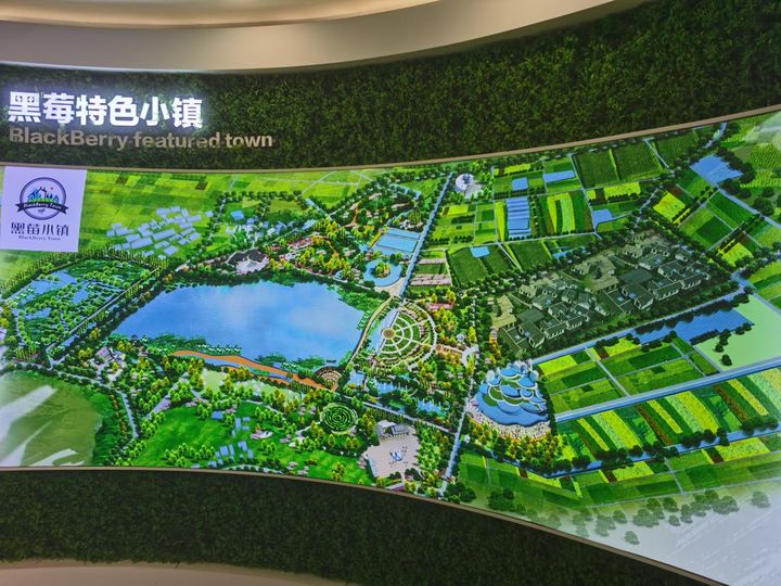 小浆果产业,小浆果助力乡村振兴