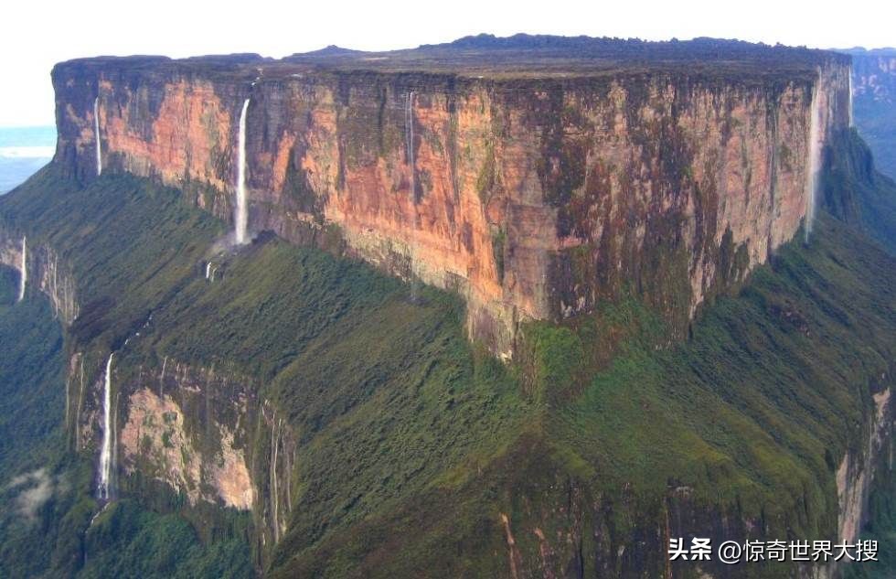世界上最奇特的钞票有哪些,世界上最奇怪的钞票