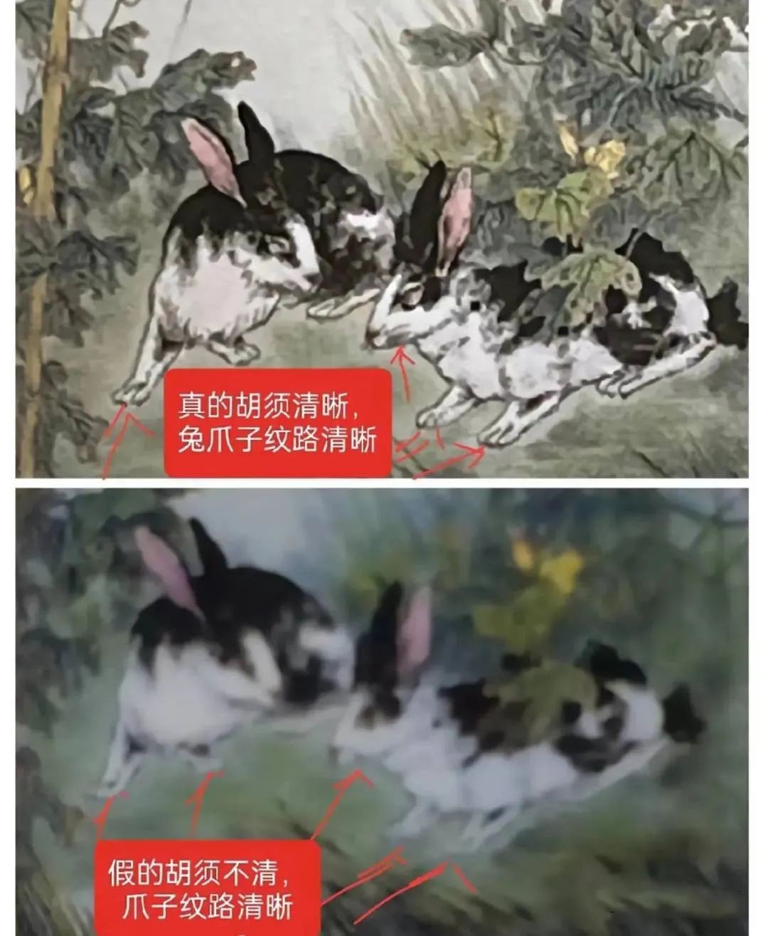 怎样鉴别兔茅是否漏酒,2023兔茅真假鉴别