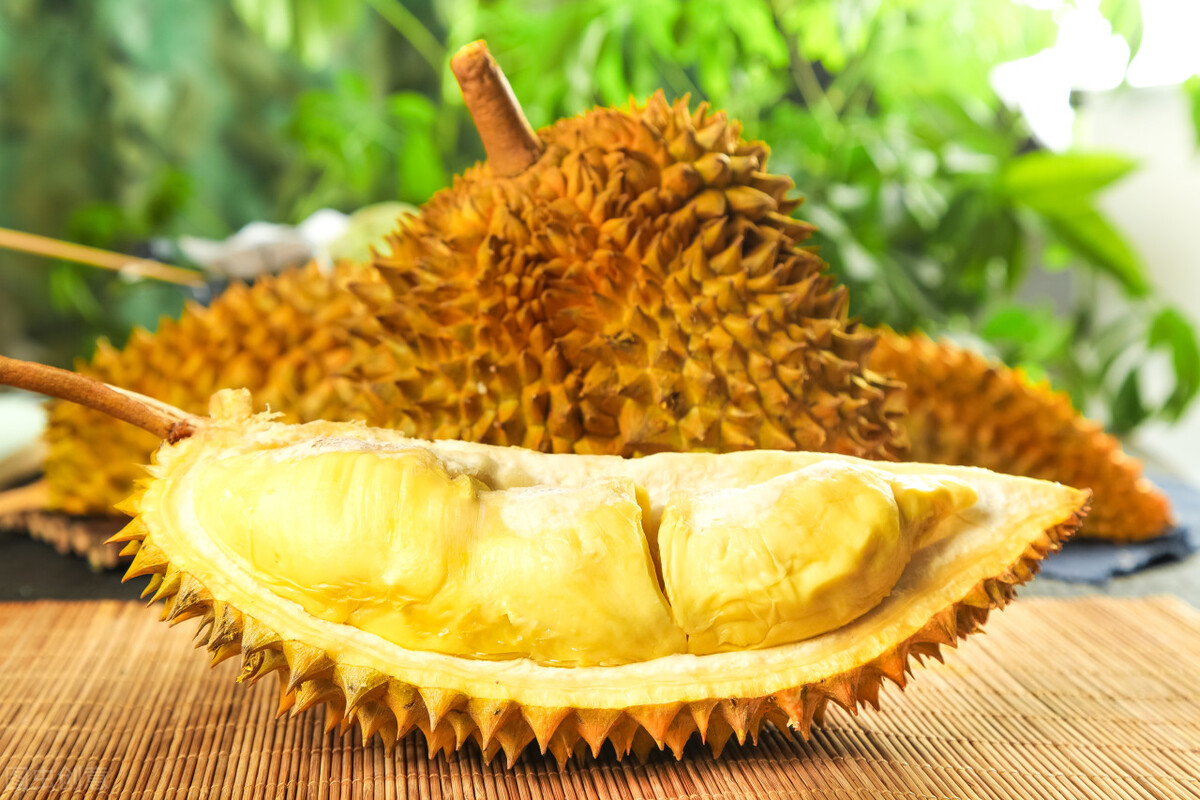 泰国农业部对榴莲出口标准,泰国榴莲外贸政策是什么