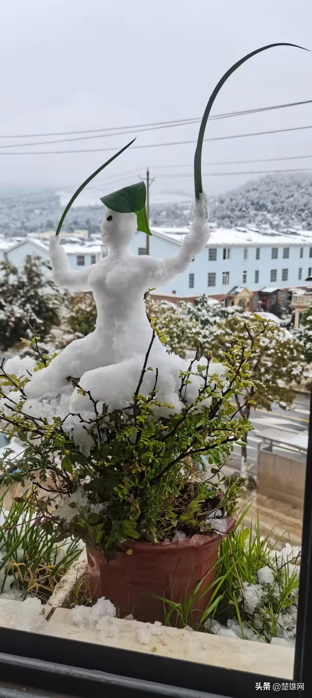 堆雪人创意大赛活动方案,堆雪人大赛活动