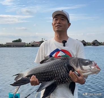 邓刚盘老板合集,邓刚盘老板的视频