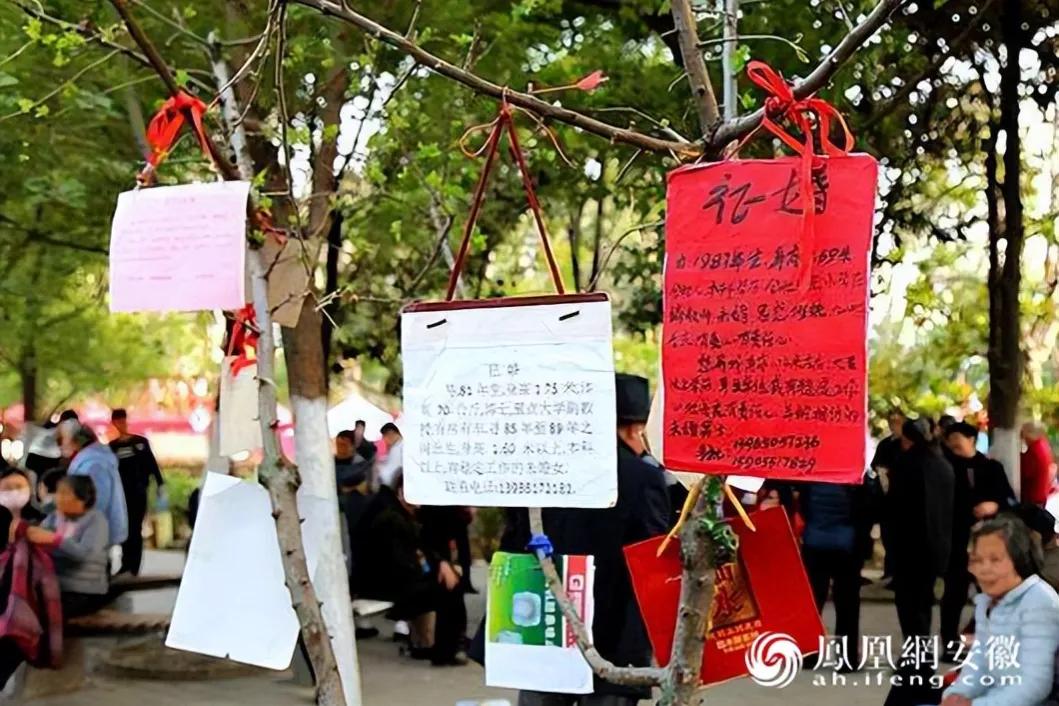 中国合肥杏花公园,合肥有几个杏花公园