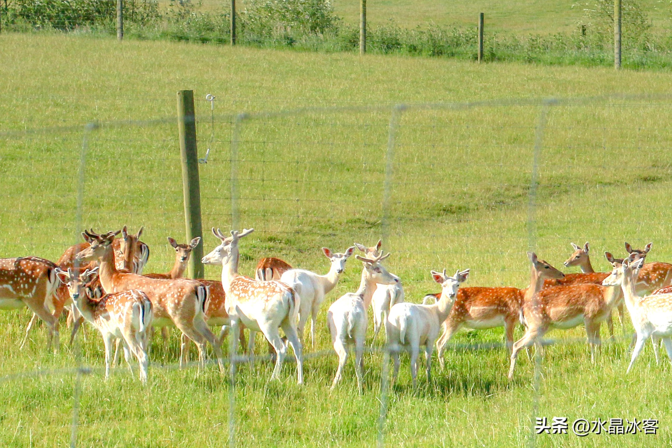 南岛新西兰之旅,新西兰之南岛