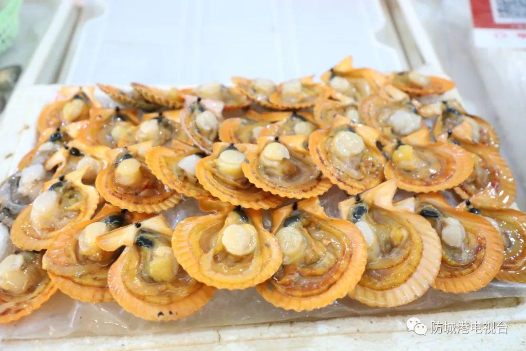 开海了一大波肥美海鲜上岸,开海去哪买海鲜