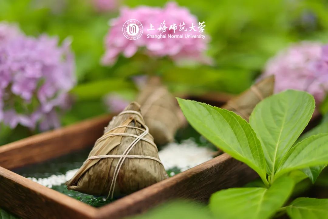 苏州端午花式粽子,端午节包粽子搞笑