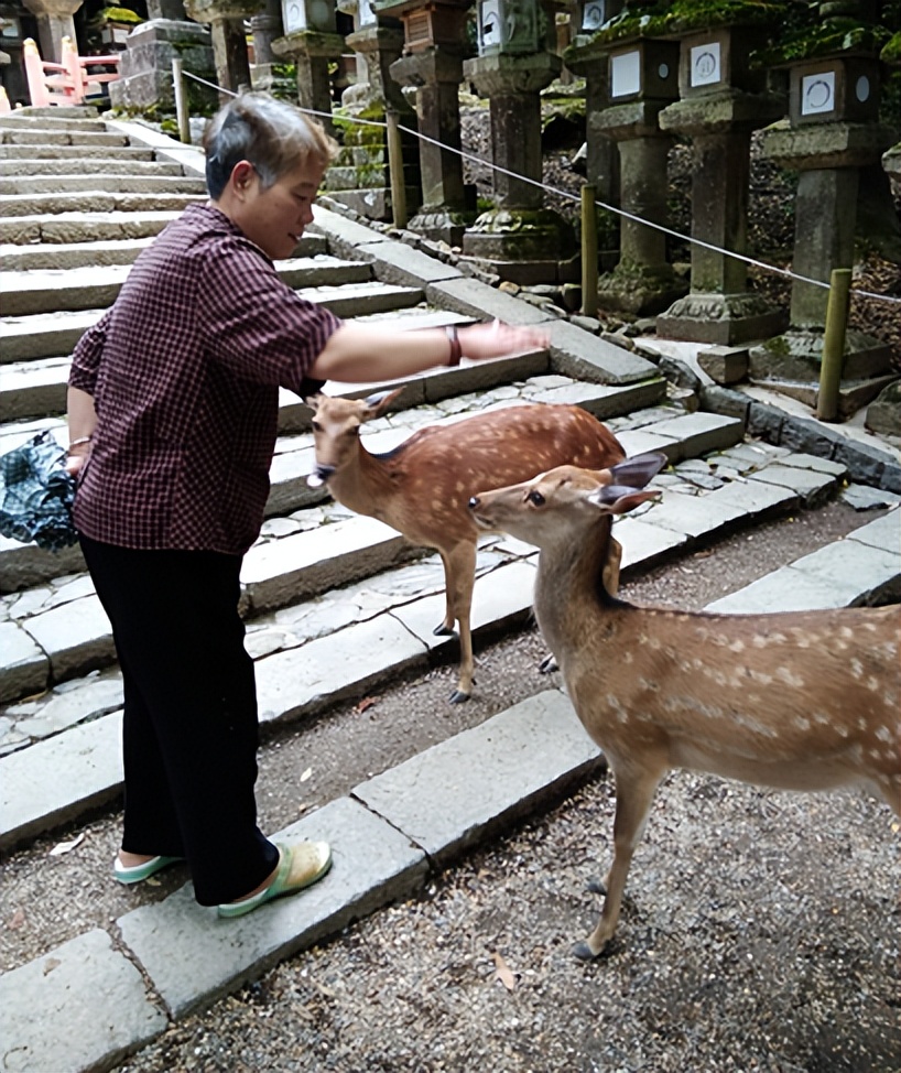 被绑架的日本之行：归来还是家乡美丽、舒服|作者郑洪杰