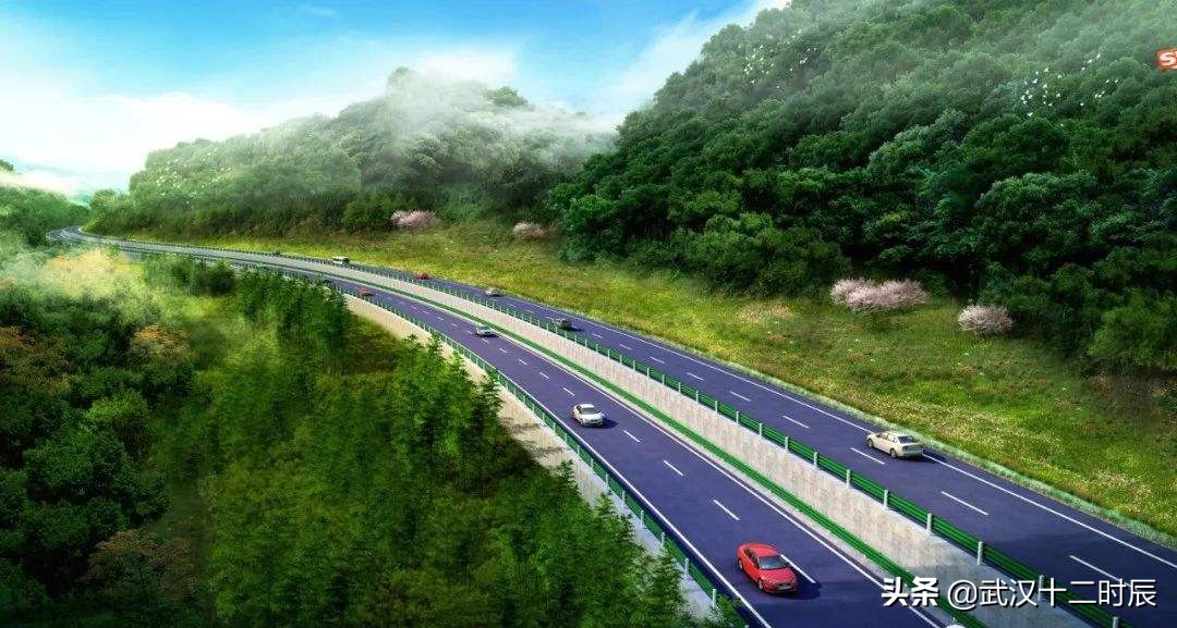 麻城至白果s206改建,湖北麻城新建麻城至白果公路走向