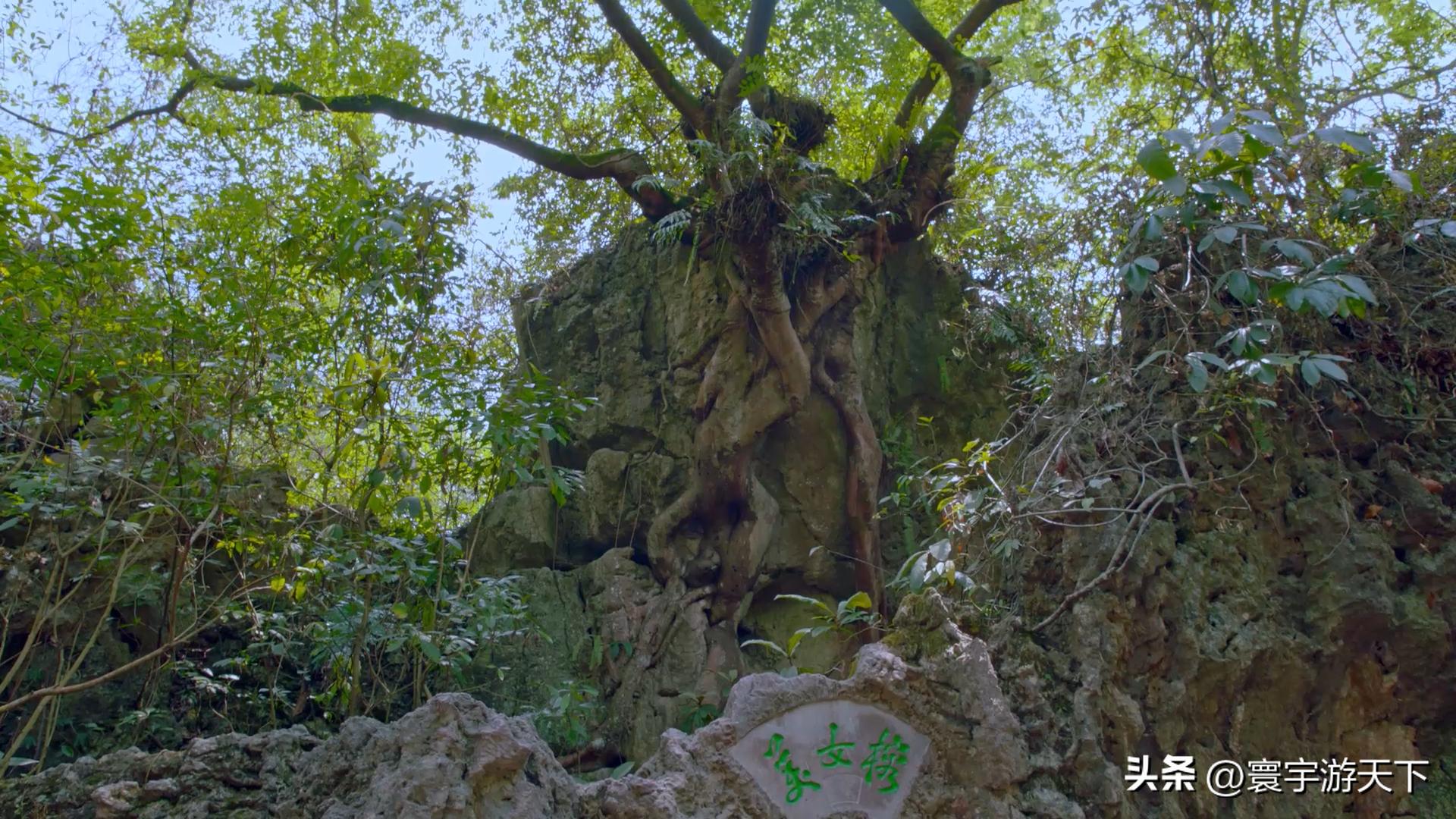 黄果树瀑布旅游全攻略,黄果树瀑布最全旅游攻略第一篇