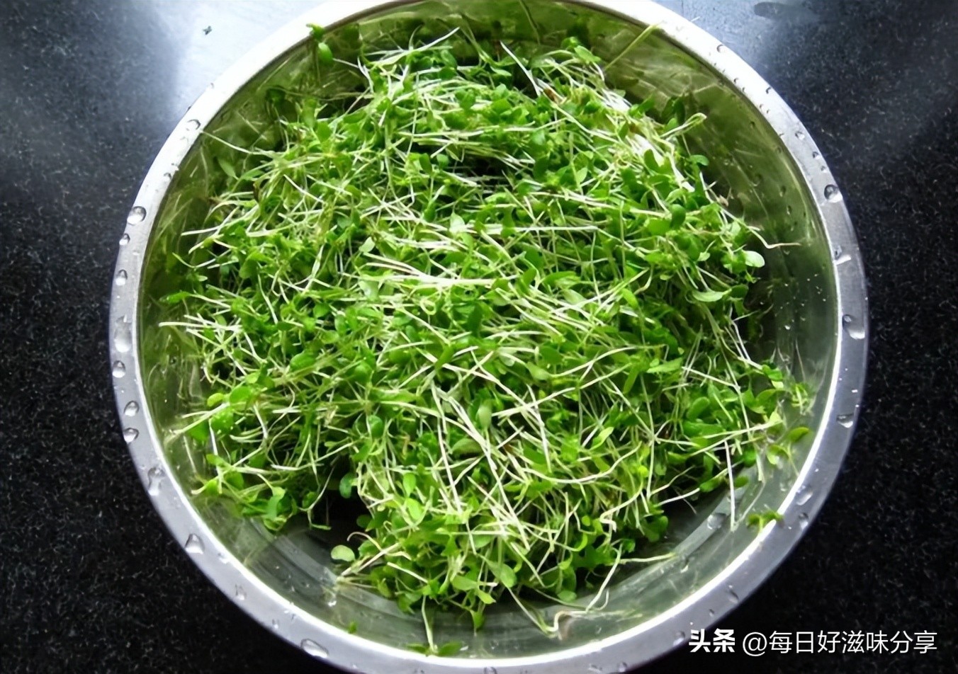 怎样处理发芽的土豆不会有毒,土豆发芽的应急处理方法是什么