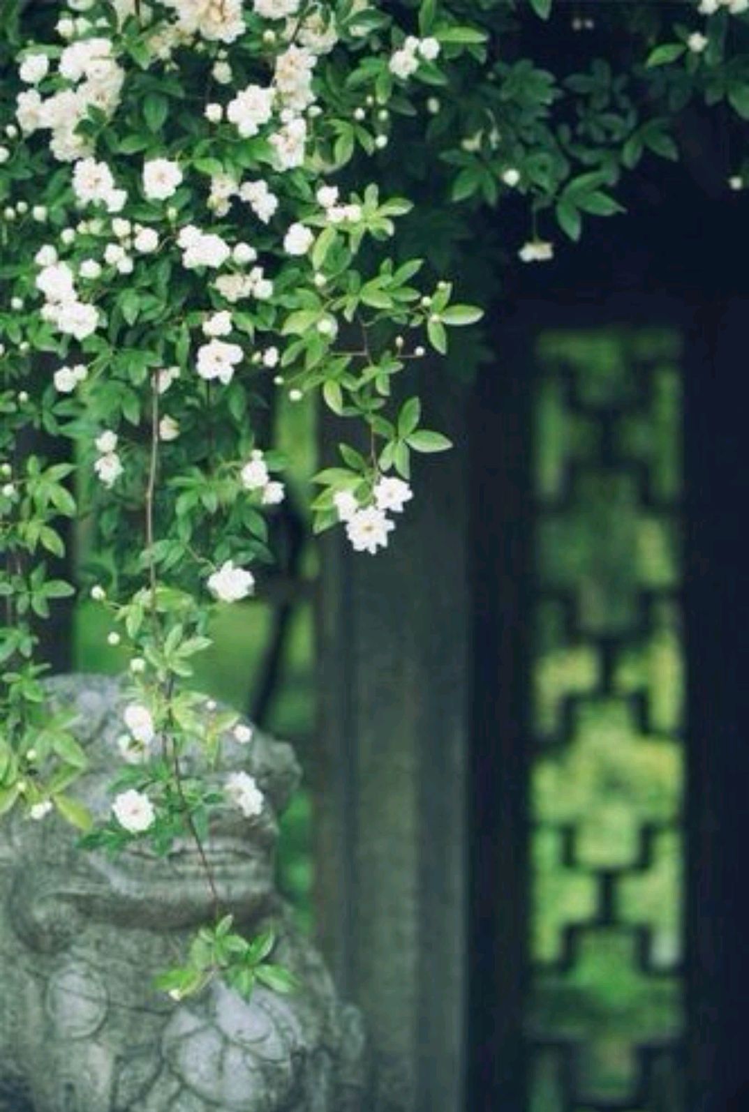 与春天有关的散文,散文感受春天