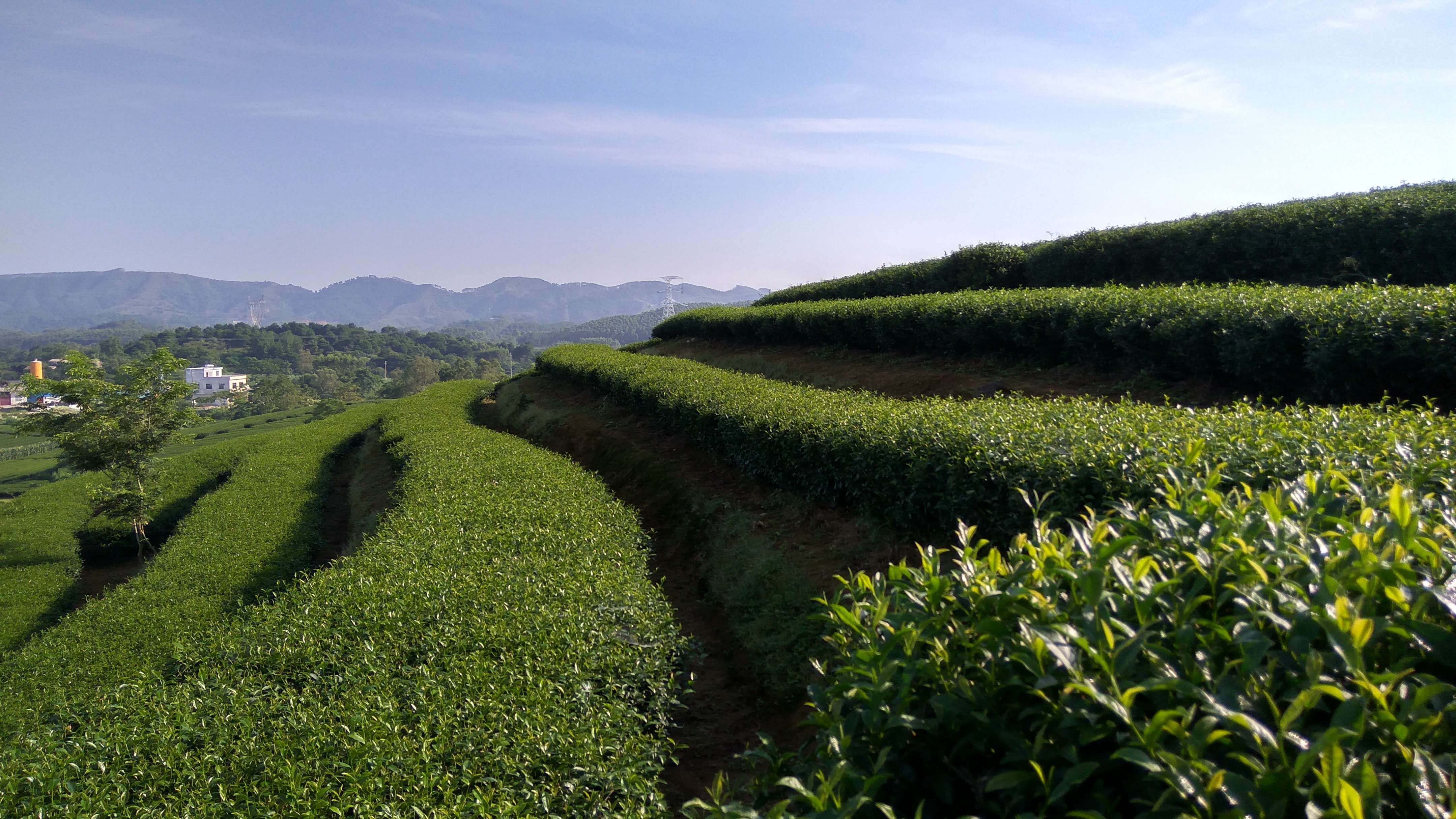 骞胯タ涓婃灄涓栧妗冩簮,鍗楀畞涓婃灄涓栧妗冩簮