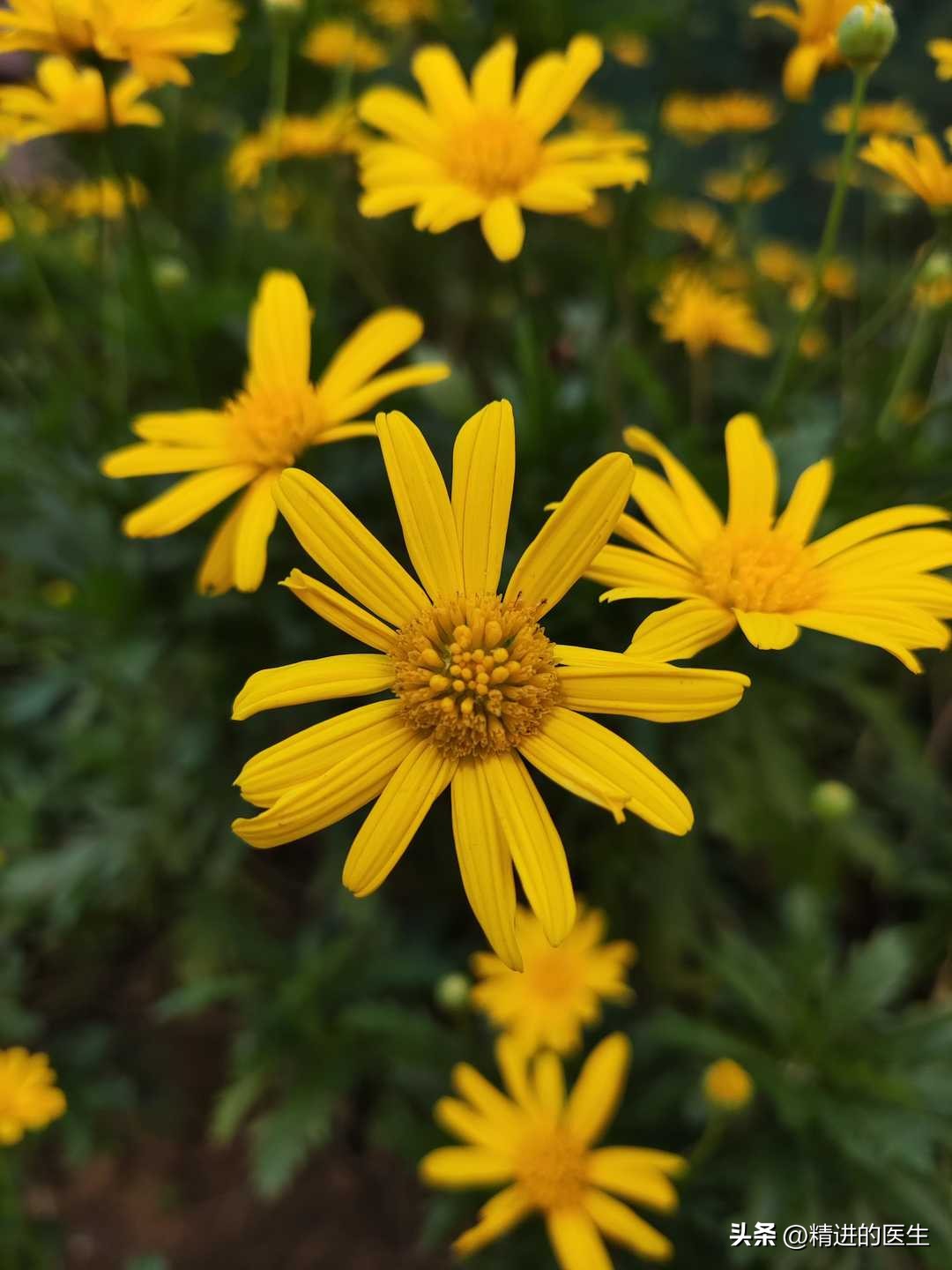 积极乐观延缓衰老,积极面对生活能延缓衰老