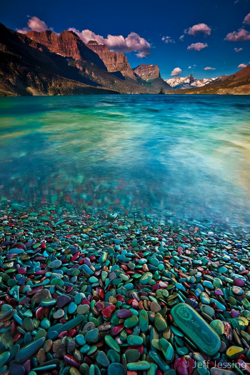 世界上最壮的牛照片,世界最壮的牛图片