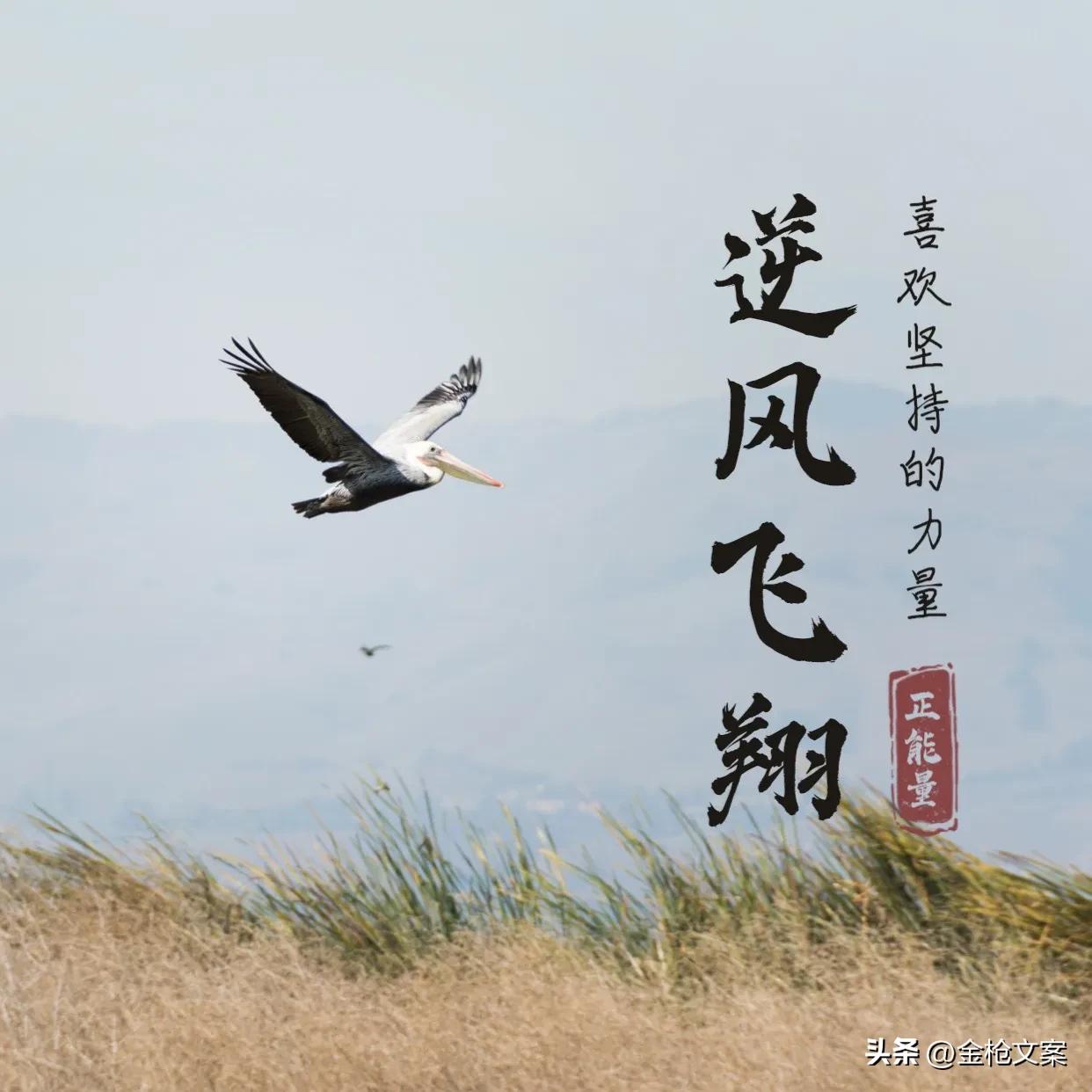 通俗易懂的创业励志文案,创业文案100句经典背后的心酸