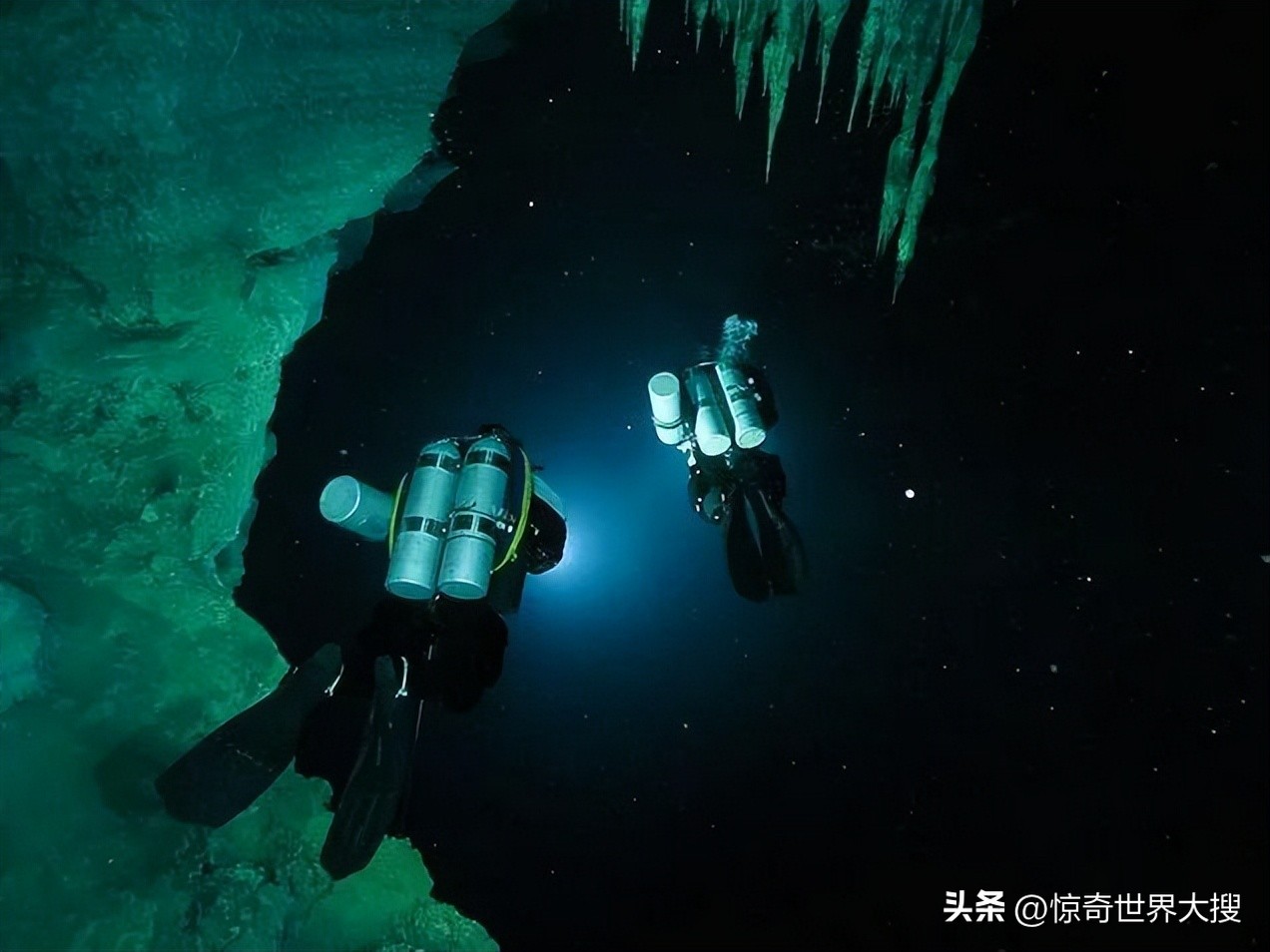 深海恐惧症最怕的100张图,深海恐惧症超长照片